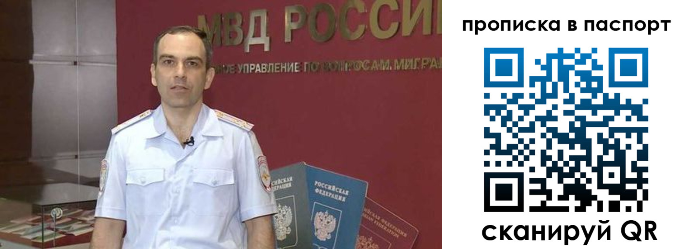 прописка поиск в Сураже